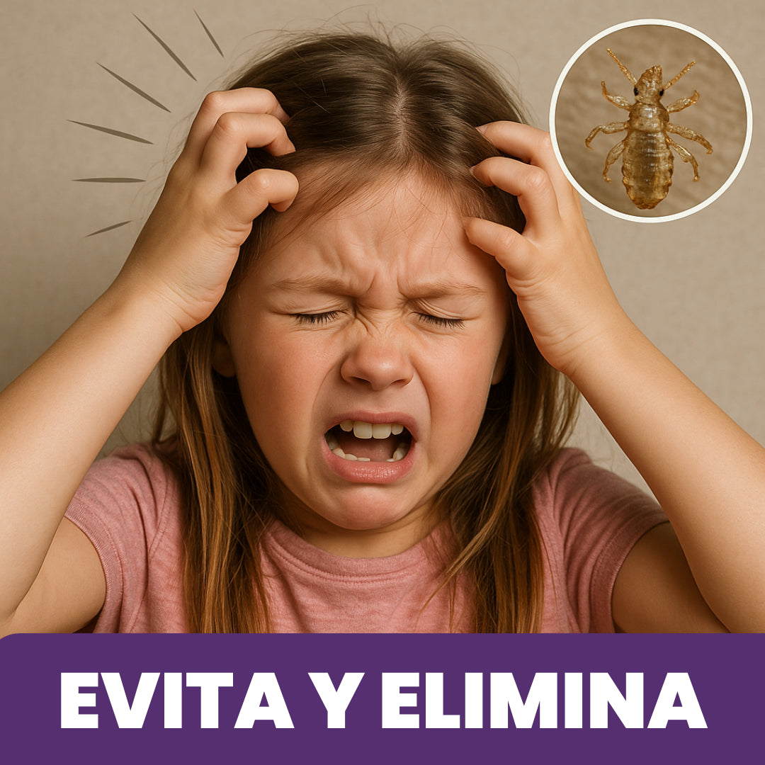 KIT ANTIPIOJOS | Elimina y previene piojos y liendres